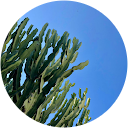 Andrea Chew-wei Ching Andrea Chew-wei Ching