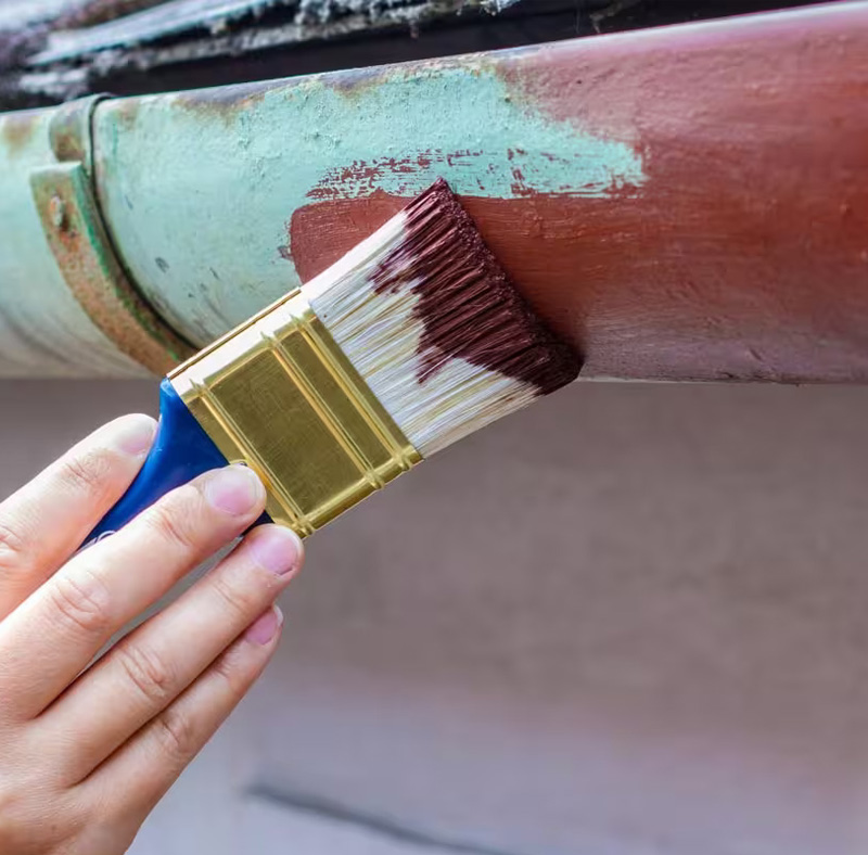 Fascia and Gutter Painting